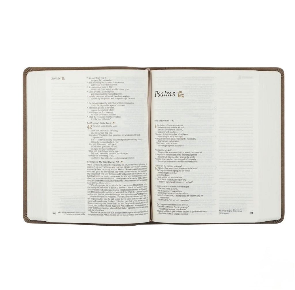 NLT NOTETAKING BIBLE: MARLO THEME