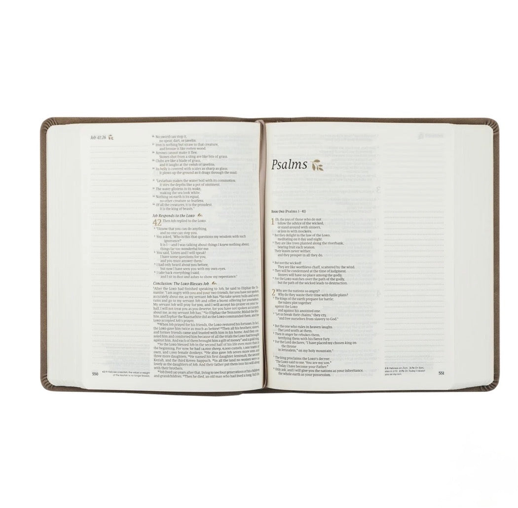 NLT NOTETAKING BIBLE: MARLO THEME